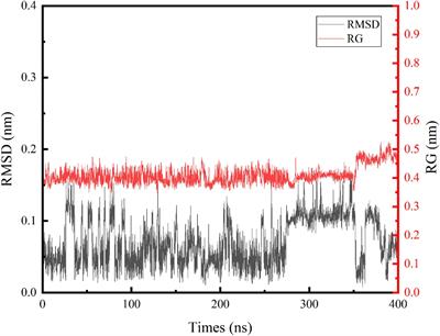 Mechanism of interactions between tripeptide NCW on cellular membrane using molecular dynamic simulation